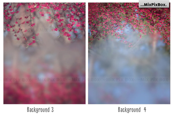 Photo Overlay Bundle: Beach Backgrounds, Dirt Explosion, Stadium Light, Animal Overlays, Ribbon, Floral + more!
