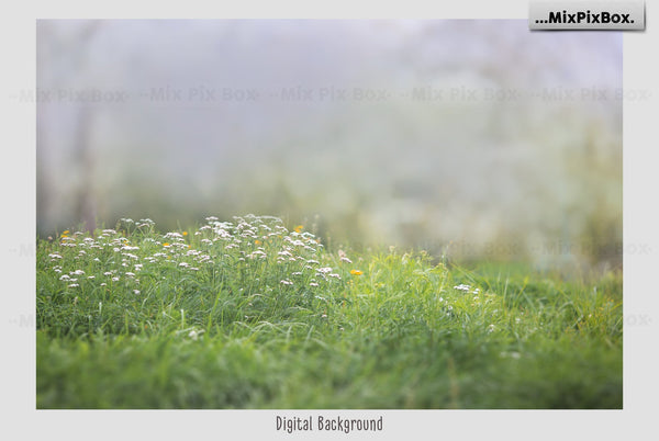 Photo Overlay Bundle: Beach Backgrounds, Dirt Explosion, Stadium Light, Animal Overlays, Ribbon, Floral + more!