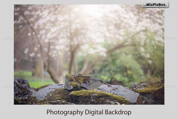 Photo Overlay Bundle: Beach Backgrounds, Dirt Explosion, Stadium Light, Animal Overlays, Ribbon, Floral + more!