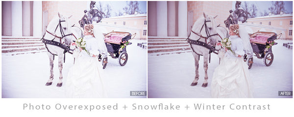 The Ultimate Season Preset Bundle