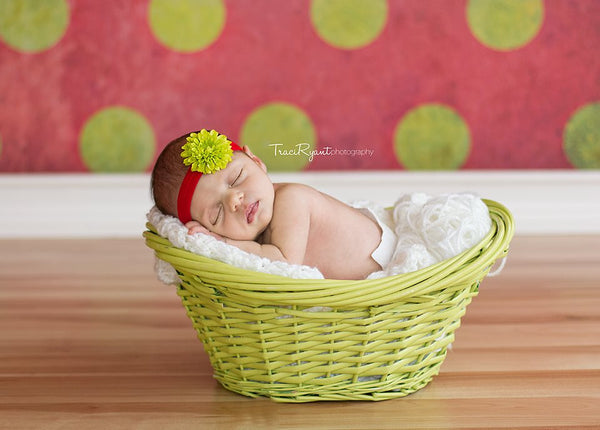 Setting Up Your Natural Light Home Studio