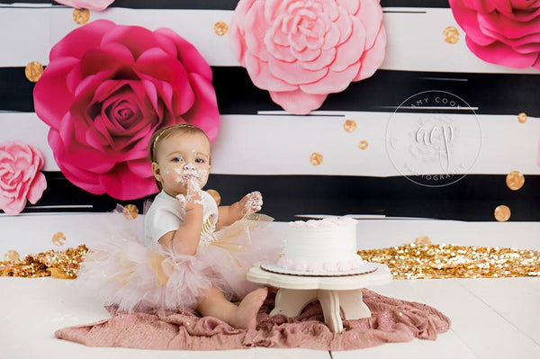 Beyond the Window: A Beginner's Guide to Working with Studio Lighting