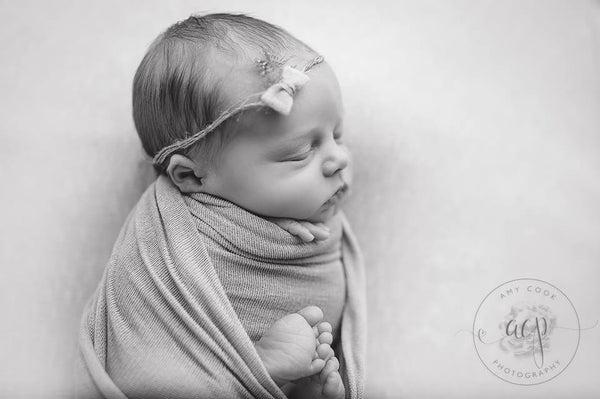 Beyond the Window: A Beginner's Guide to Working with Studio Lighting