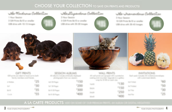 Pet Welcome Packet Guide