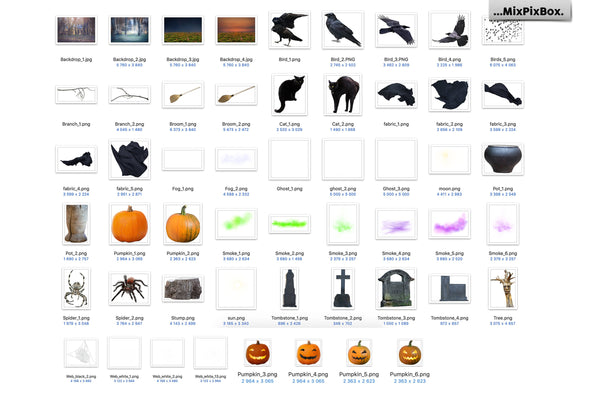 Spooky Halloween Photo Overlay Collection
