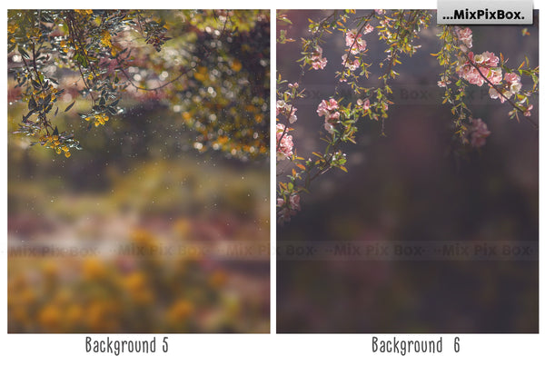 Photo Overlay Bundle: Beach Backgrounds, Dirt Explosion, Stadium Light, Animal Overlays, Ribbon, Floral + more!