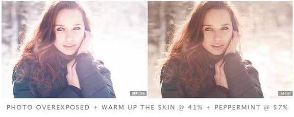 Winter Portrait Action Pack