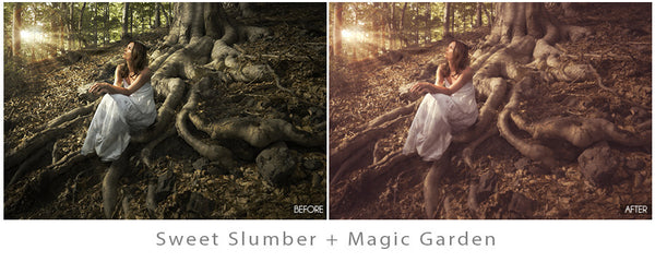 Whimsical Presets Made Easy!