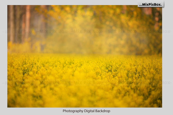 Photo Overlay Bundle: Beach Backgrounds, Dirt Explosion, Stadium Light, Animal Overlays, Ribbon, Floral + more!