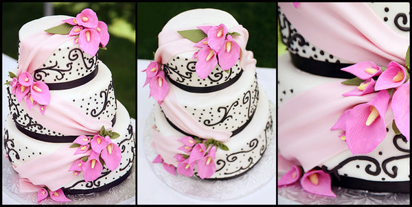 Collage Maker Templates & Actions