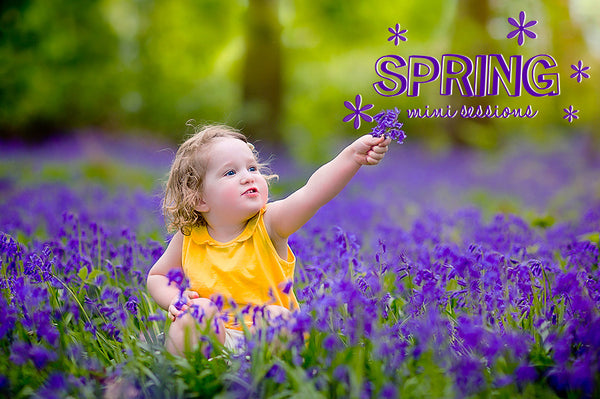 Mini Session Drag and Drop Word Art