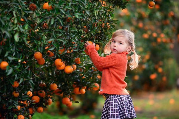 Creative Blur Overlays