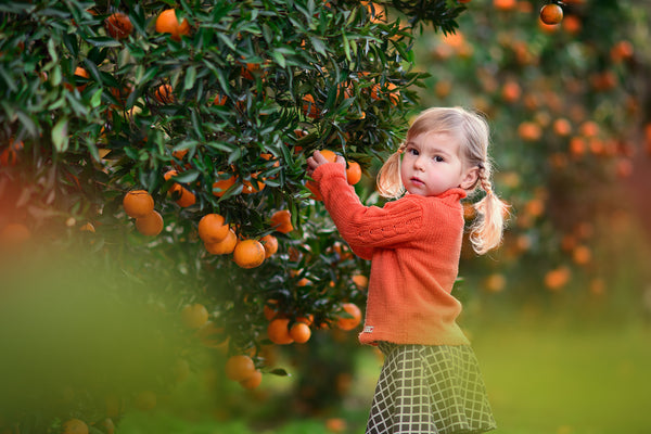 Creative Blur Overlays