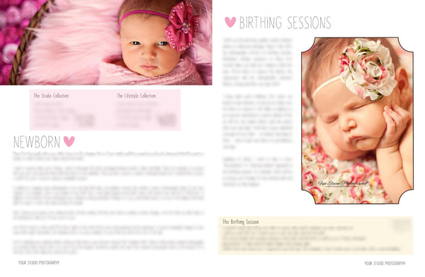 Pricing and Product Description Pages