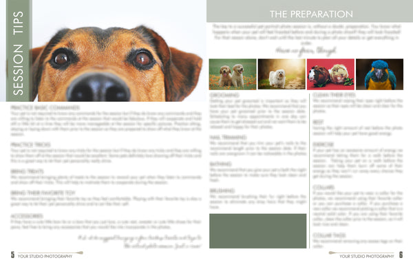 Pet Welcome Packet Guide