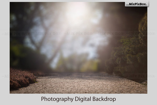 Photo Overlay Bundle: Beach Backgrounds, Dirt Explosion, Stadium Light, Animal Overlays, Ribbon, Floral + more!