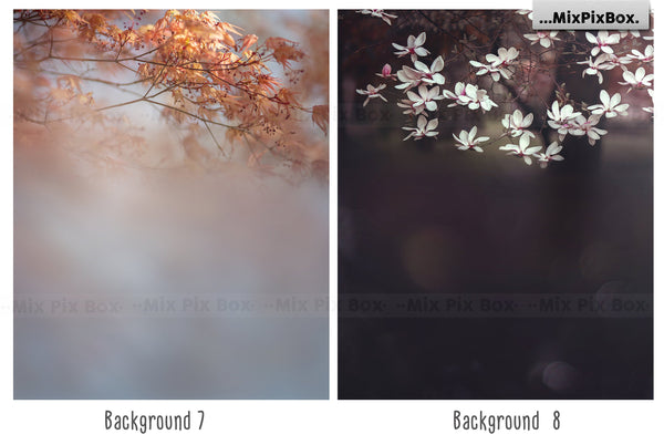 Photo Overlay Bundle: Beach Backgrounds, Dirt Explosion, Stadium Light, Animal Overlays, Ribbon, Floral + more!