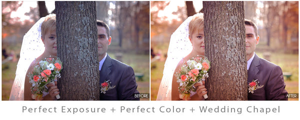 Wedding Workflow Action Pack