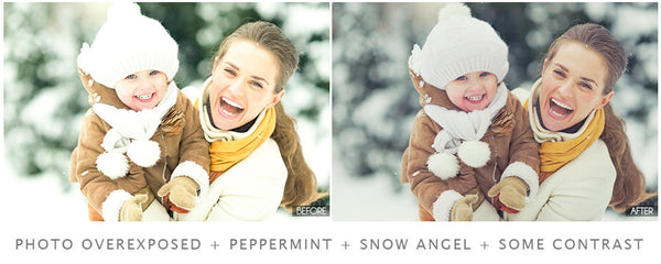 The Ultimate Season Preset Bundle