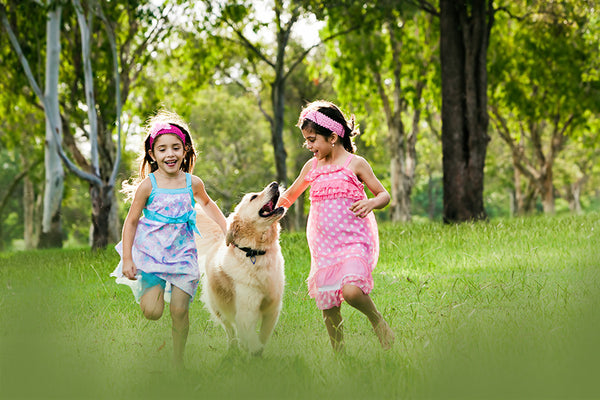 Creative Blur Overlays {Volume 2}