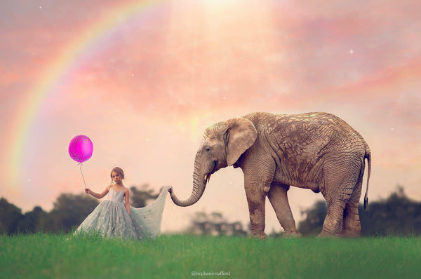 Imagine Series: Step by Step Composite Videos by Stephanie Stafford