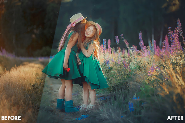 Painterly Look Lightroom Presets