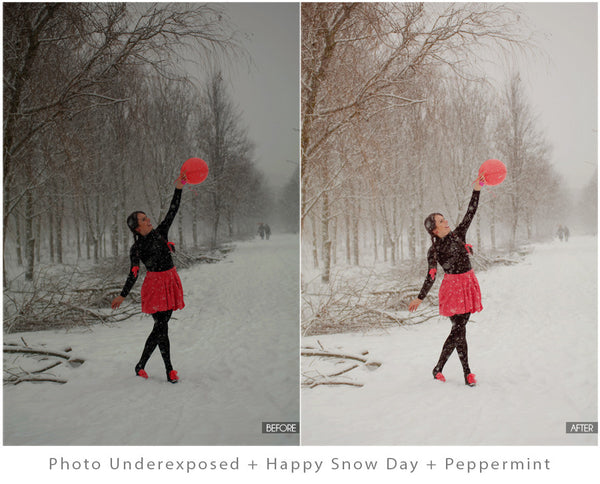 Winter Portrait Action Pack