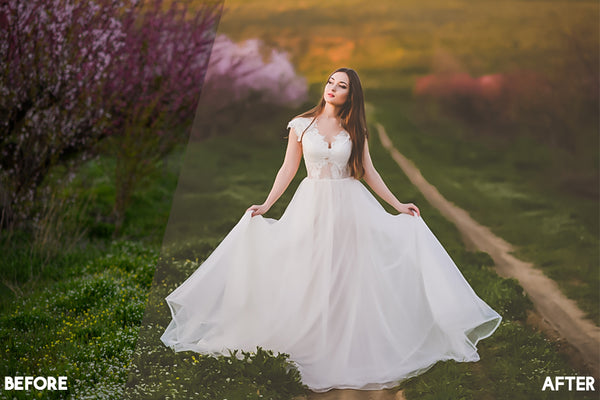 Painterly Look Lightroom Presets