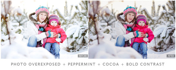 Winter Portrait Preset Pack
