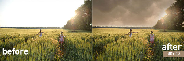 Pretty Drag and Drop Sky Switches