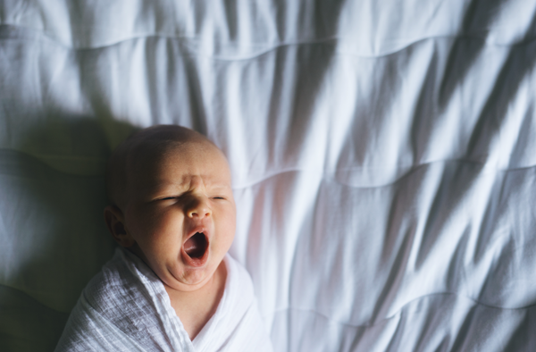 Actions for Fresh 48 and Lifestyle Sessions