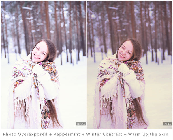 The Ultimate Season Preset Bundle