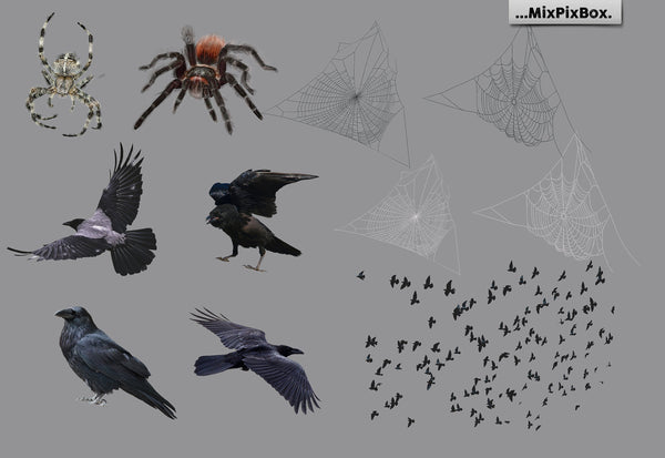 Spooky Halloween Photo Overlay Collection