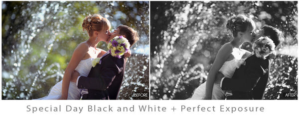 Wedding Workflow Action Pack