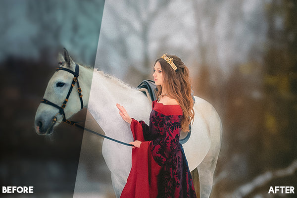 Painterly Look Lightroom Presets