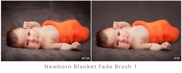 Newborn Blanket Fade Brushes