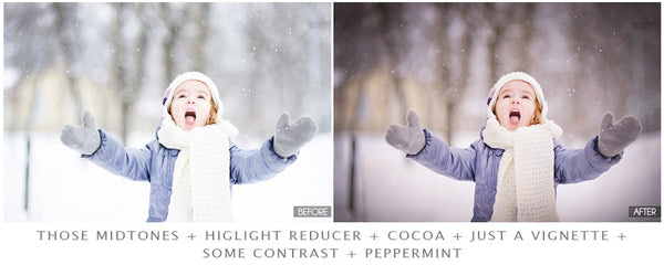 Winter Portrait Preset Pack