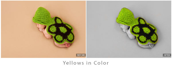 Color Pop Action Pack