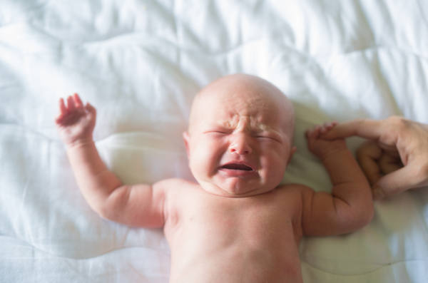 Actions for Fresh 48 and Lifestyle Sessions