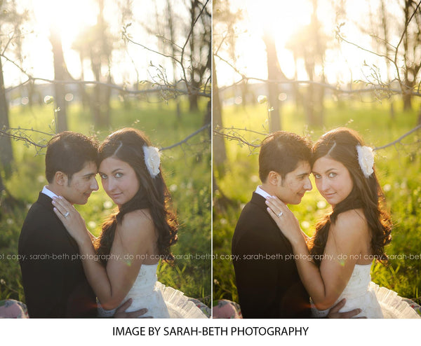 Basic Presets Made Easy! (Lightroom)