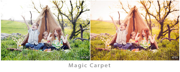 Whimsical Presets Made Easy!
