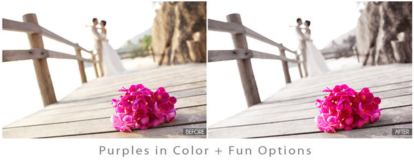 Color Pop Action Pack