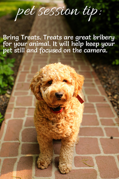 258 Session Tip Text Overlays for Social Media: Session Tips and Wedding Tips