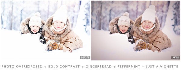 The Ultimate Season Preset Bundle