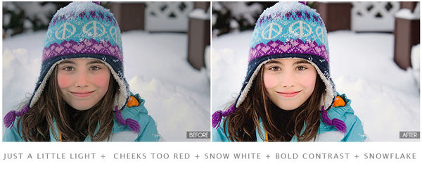 The Ultimate Season Preset Bundle