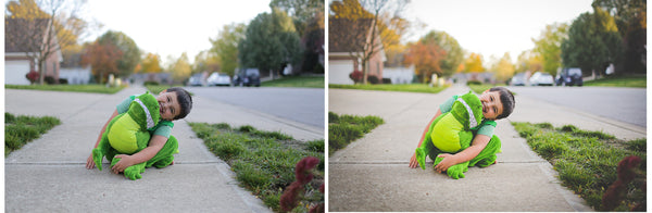 Presets Made Easy Collection