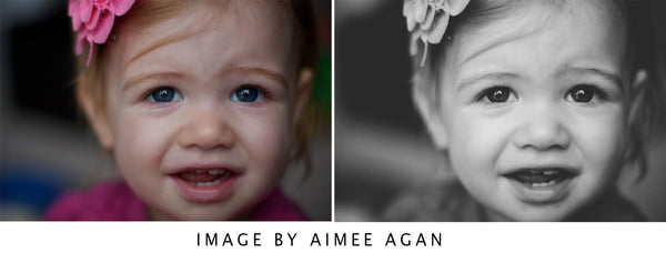 Presets Made Easy Collection