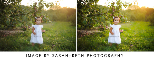 Presets Made Easy Collection