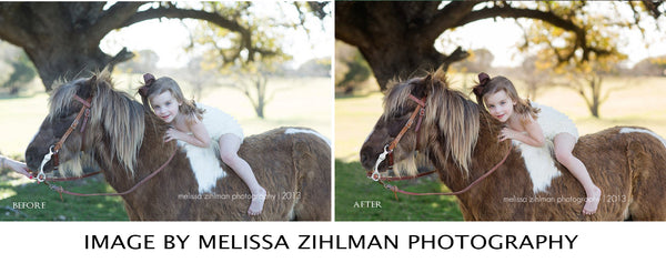 Presets Made Easy Collection