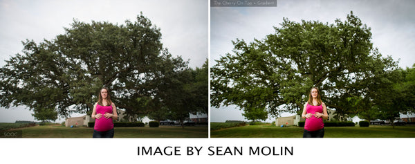 Presets Made Easy Collection